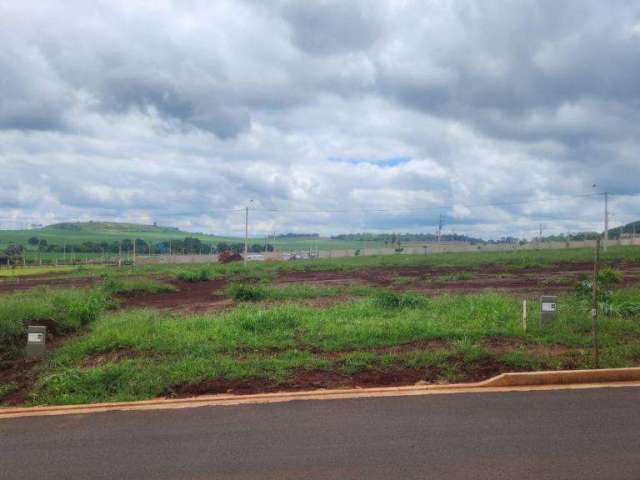 Terreno de Ilha no Quinta da Mata 1