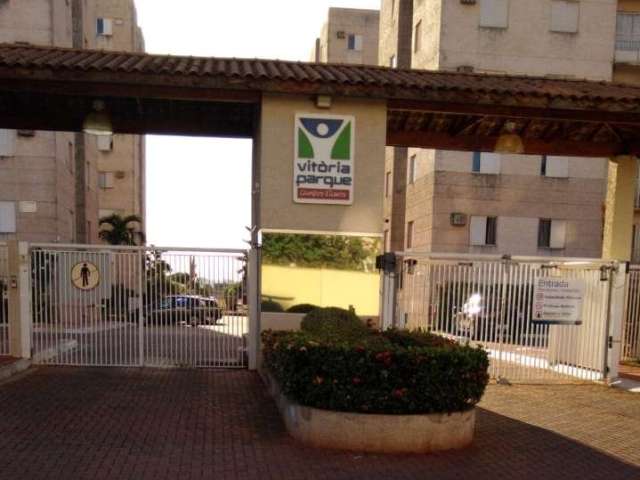 Apto 3 dorm Campos Elisios