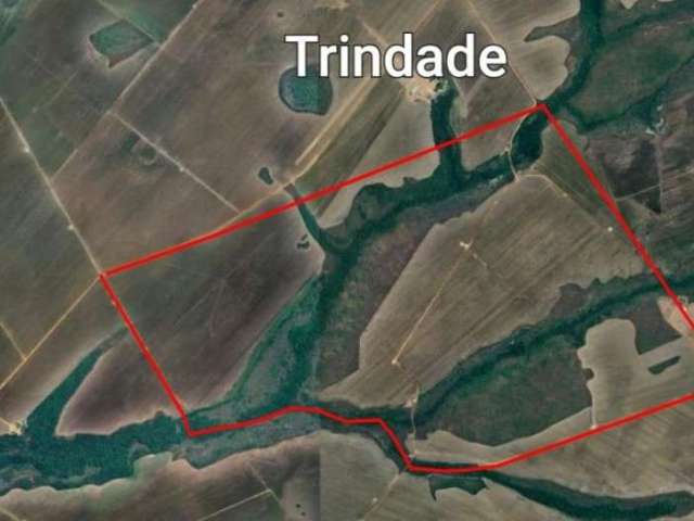 Fazenda à Venda Ideal para Plantio a Apenas 10 km de Silvanópolis - TO