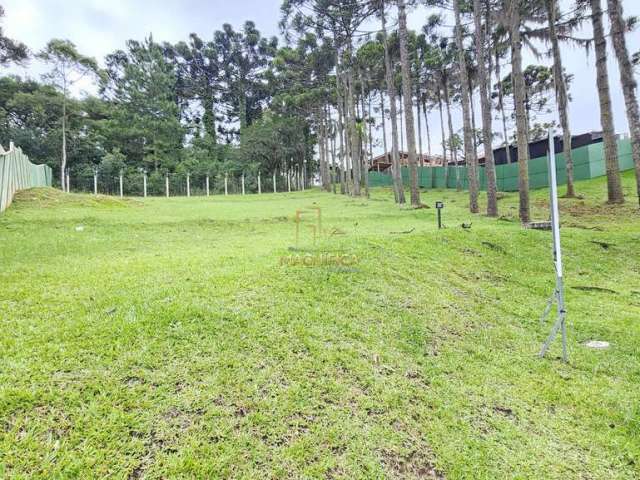 Terreno em condomínio fechado à venda na Rua Pedro Cruzetta, 280, Augusta, Curitiba, 1000 m2 por R$ 1.350.000