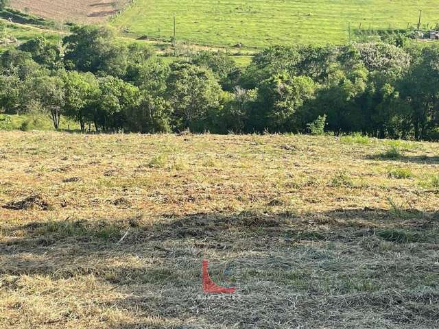 Terreno  Bairro do Campo Novo Bragança Paulista SP