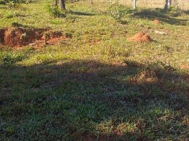 Terreno Rural bairro dos Coutos Bragança Pta