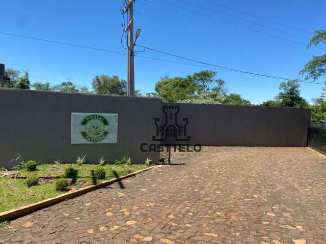 Chácara à venda, 1000 m² por R$ 185.000 - Zona Rural - Londrina/PR