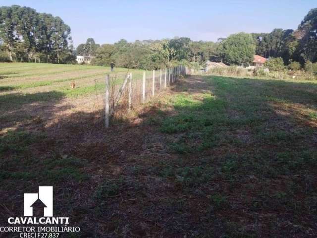 Chácara / sítio à venda em Borda do Campo, São José dos Pinhais , 11900 m2 por R$ 620.000