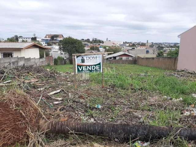 Terreno conradinho