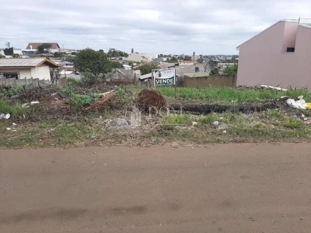 Terreno no conradinho