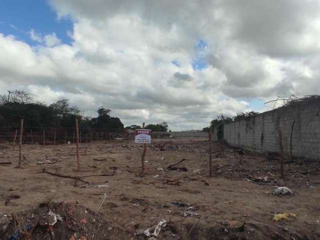 Terreno em Papagaio  -  Feira de Santana