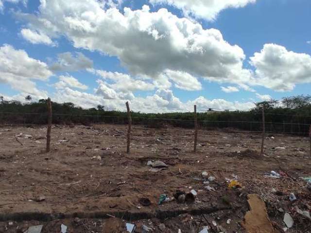 Terreno em Papagaio  -  Feira de Santana