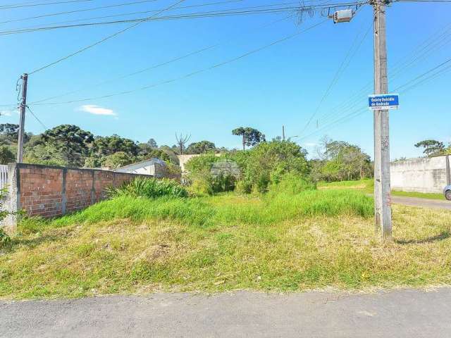 Terreno à venda na RUA ALAIS DE FATIMA ZAPF, 01, Dom Rodrigo, São José dos Pinhais, 432 m2 por R$ 120.000