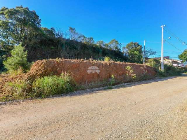 Terreno à venda na Rua Flávia Saldanha Machado, 356, Jardim Novo Horizonte da Cachoeira, Almirante Tamandaré, 141 m2 por R$ 29.500