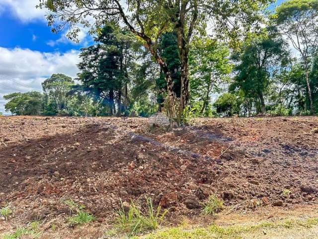 Terreno em condomínio fechado à venda na Rua Santa Helena, 2, Jardim São Carlos, Almirante Tamandaré por R$ 75.000