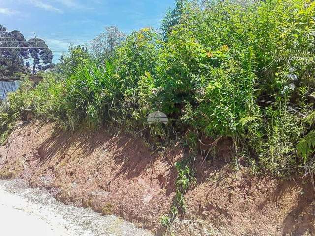 Terreno à venda na Rua C, 6, Bonfim, Almirante Tamandaré por R$ 55.000