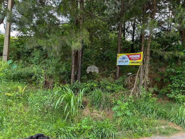 Terreno à venda na RUA FRANCISCO DE OLIVEIRA, 143, Jardim Cíntia Mara, Almirante Tamandaré por R$ 75.000