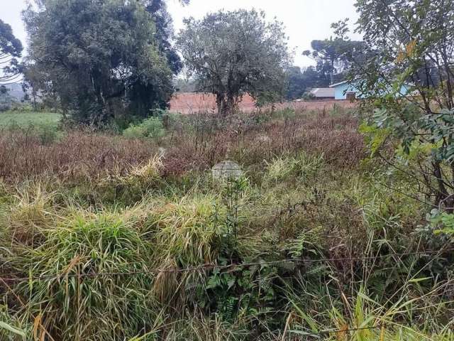 Terreno comercial à venda na ESTRADA ANTA MAGRA, SN, Campina de Quitandinha, Quitandinha, 1000 m2 por R$ 280.000