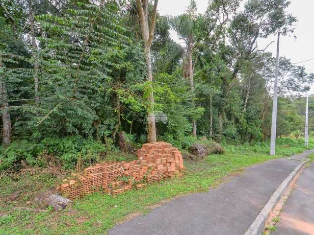 Terreno à venda na Rua Laurindo Pereira Machado, 380, Bonfim, Almirante Tamandaré por R$ 3.200.000