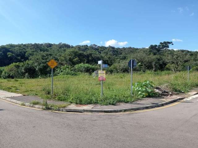 Terreno à venda na Rua Sandro Pereira da Silva, 400, Vila Franca, Piraquara por R$ 175.000