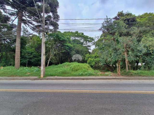 Terreno à venda na Rua Pedro do Rosário, 2212, Jardim Itália, Colombo por R$ 315.000