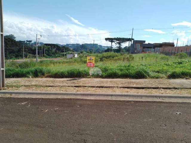 Terreno à venda na RUA EDINEI SEBASTIAO DOMINGUES, 220, Industrial, Guarapuava por R$ 145.000