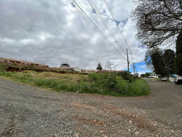 Terreno à venda na Rua Nestor Alves de Campos, 843, Uvaranas, Ponta Grossa por R$ 85.000