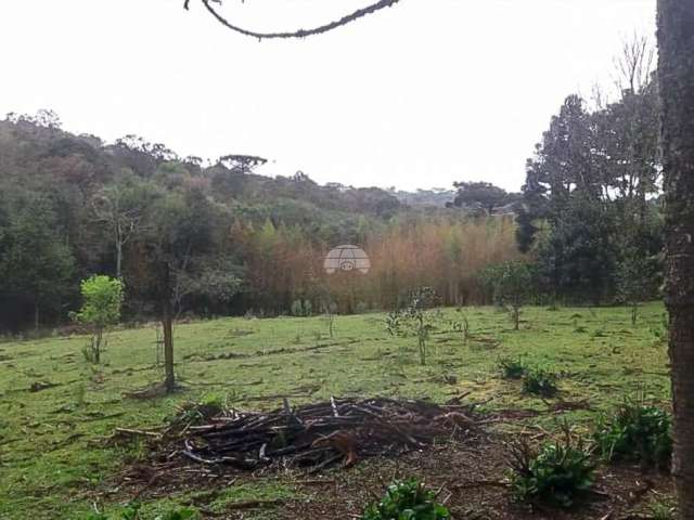 Chácara / sítio à venda na ESTRADA DA ROSEIRA, S/N, São Sebastião, São José dos Pinhais, 1365 m2 por R$ 180.000