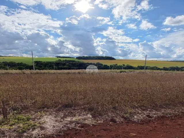 Terreno à venda na Rua Ampélio José Pagnoncelli, 00, Fraron, Pato Branco, 312 m2 por R$ 142.000