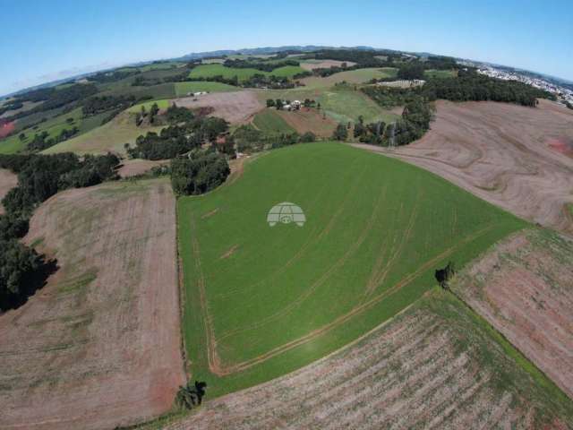 Terreno à venda na COMUNIDADE NUCLEO PATO BRANCO, 00, Zona Rural, Pato Branco, 30000 m2 por R$ 2.700.000