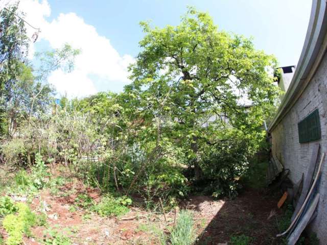 Terreno à venda na Avenida Brasil, 1130, Centro, Pato Branco, 100 m2 por R$ 635.000