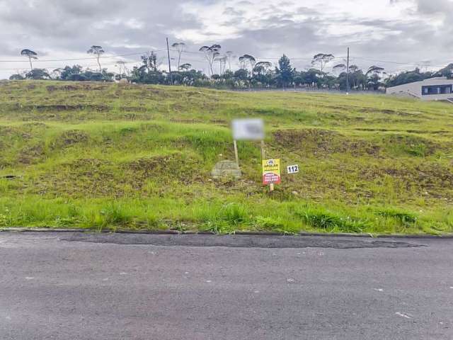 Terreno à venda na Rua do Quivi, 341, Planta Santa Tereza, Colombo por R$ 230.000