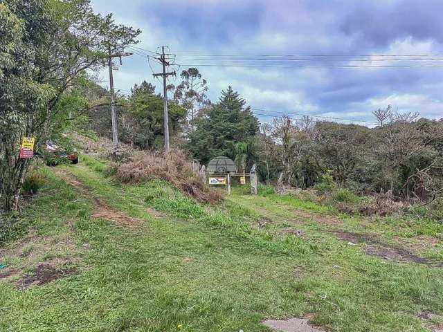 Chácara / sítio à venda na Rodovia BR-277, 277, Borda do Campo, São José dos Pinhais por R$ 2.350.000