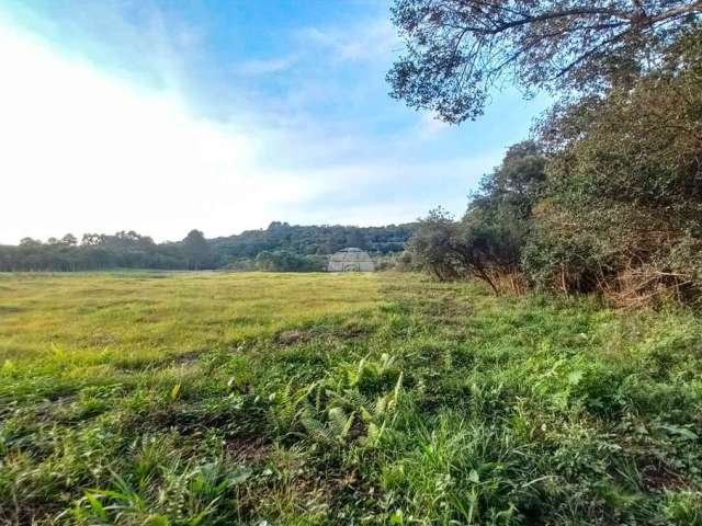 Terreno comercial à venda na Rodovia BR-376, 00, Campo Largo da Roseira, São José dos Pinhais, 34570 m2 por R$ 399.000