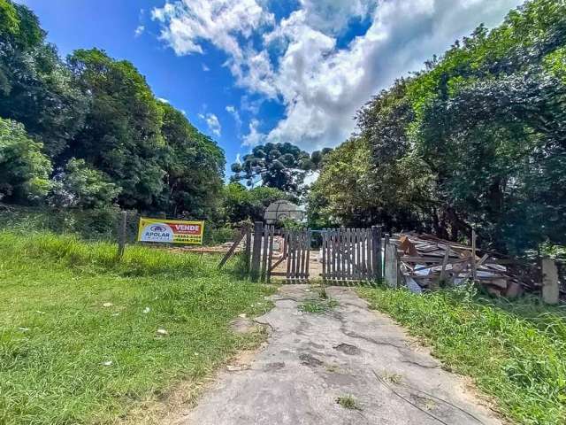 Terreno à venda na Rua Afonso Pasqualim, S/N, Miringuava, São José dos Pinhais, 958 m2 por R$ 250.000