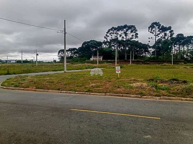 Terreno à venda na Rua Ignez Gazzola Cruz, 001, Rio Pequeno, São José dos Pinhais, 450 m2 por R$ 275.500