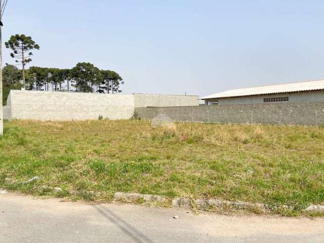 Terreno à venda na Rua Ignez Gazzola Cruz, 001, Rio Pequeno, São José dos Pinhais, 450 m2 por R$ 290.000