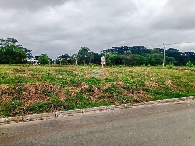 Terreno à venda na Rua Professora Dolores Taborda Ribas, 001, Rio Pequeno, São José dos Pinhais, 591 m2 por R$ 340.000