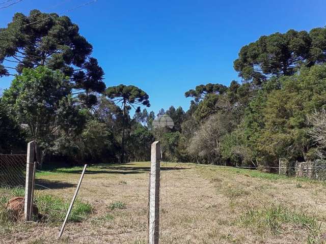 Terreno à venda na Rua Bromélias, 124, Eucaliptos, Fazenda Rio Grande, 2769 m2 por R$ 950.000