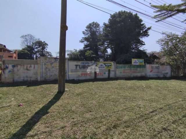 Terreno comercial para alugar na Rua Raphael Papa, 119, Jardim Social, Curitiba, 1000 m2 por R$ 5.500