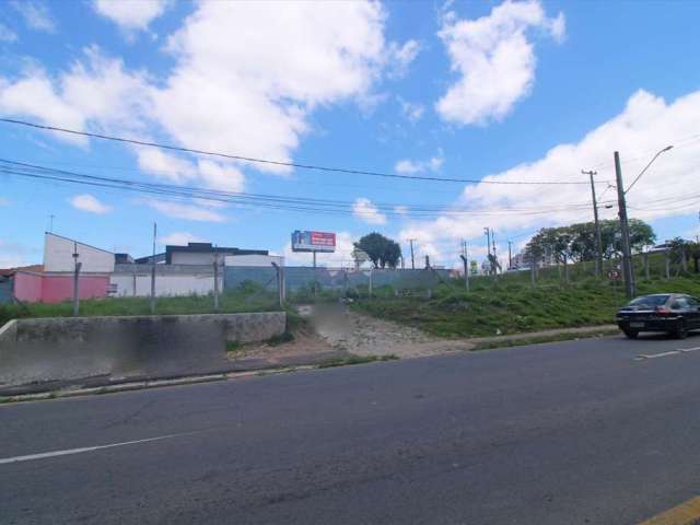 Terreno comercial para alugar na Rua João de Brito, 50, Cruzeiro, São José dos Pinhais, 1170 m2 por R$ 6.000