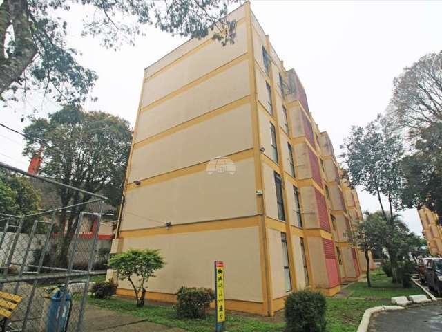 Apartamento com 2 quartos para alugar na Rua Maria de Lourdes Kudri, 127, Barreirinha, Curitiba, 41 m2 por R$ 1.200