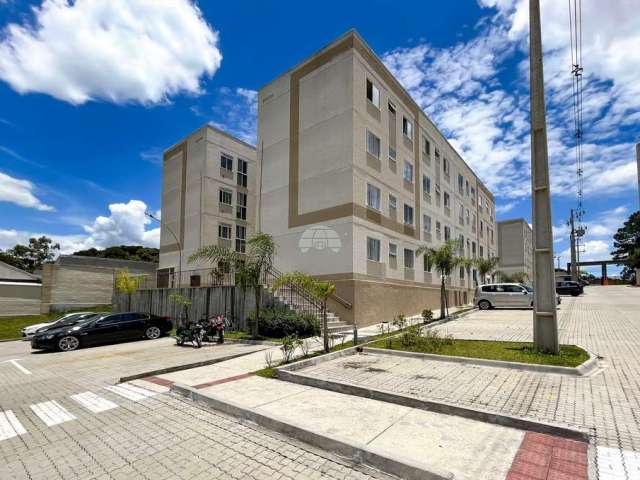 Apartamento com 2 quartos para alugar na Rua Francisco Dal'Negro, 4367, Santo Antônio, São José dos Pinhais, 42 m2 por R$ 1.300