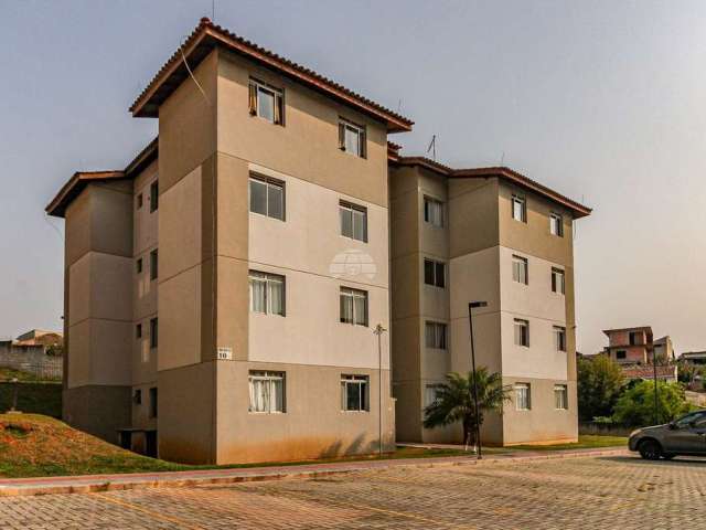 Apartamento com 2 quartos para alugar na Rua Howell Lewis Fry, 341, Cachoeira, Curitiba, 47 m2 por R$ 800