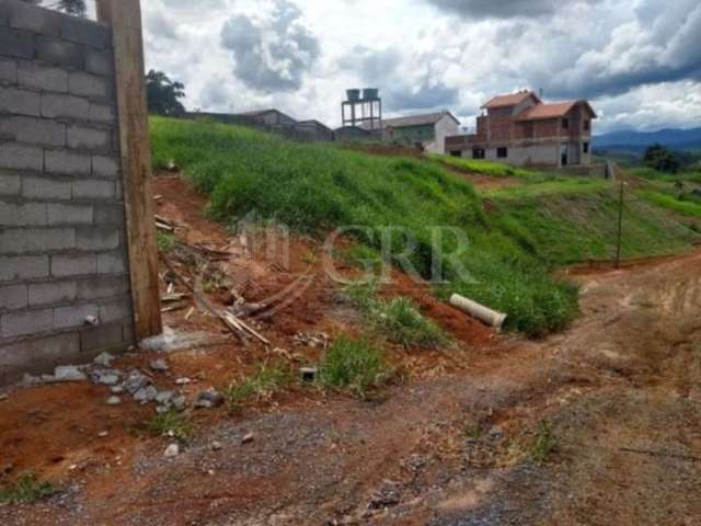 Terreno para Chácara no Bairro Pau de Saia