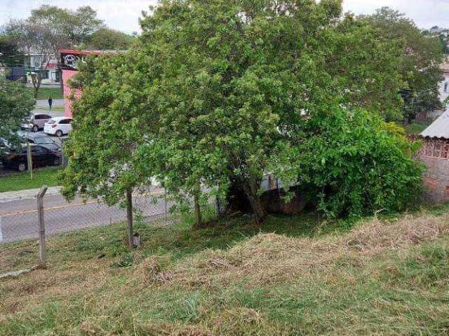 Terreno no bairro Tingui, ZR4,  354,44 m², comercial ou residencial, a poucos metros da Av. Mascarenhas de Moraes,   Curitiba, PR