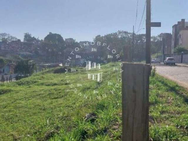 Terreno amplo no bairro de coqueiros