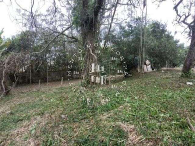 Amplo terreno no bairro da agronômica