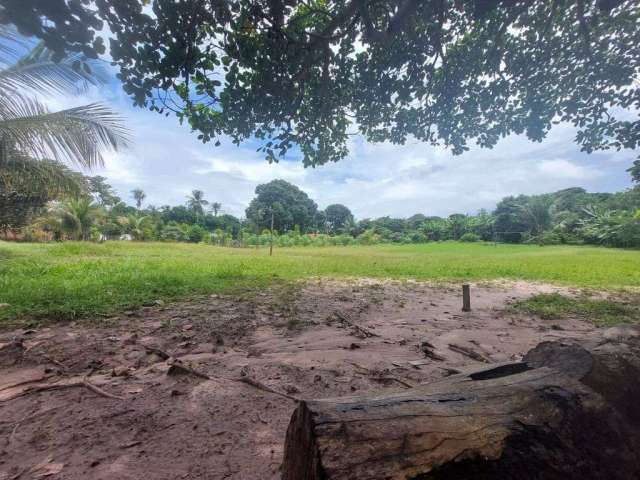 Chácara à Venda em Sitio do Apicum, São José de Ribamar - MA