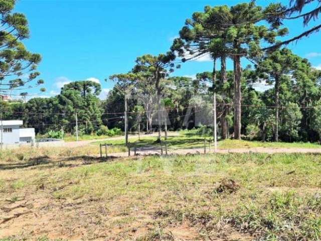 Terreno quatro barras perfeito para seu projeto próximo da natureza área de lazer bosque ecopark