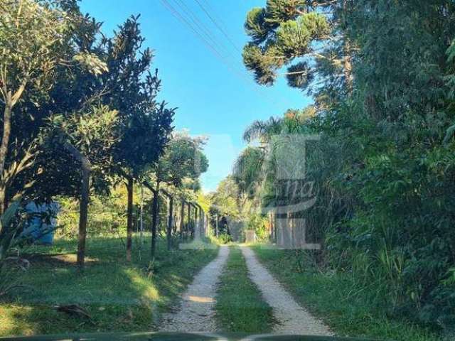 Chácara campo largo estrada itambé 3 casas rio 2 nascentes