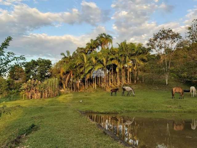 Chácara / sítio com 3 quartos à venda na RUA SAO JOAO FELIZ, 00, Batel, Antonina, 84300 m2 por R$ 1.300.000