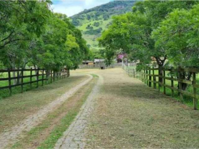 Fazenda com 5 salas à venda no Centro, Campanha , 2000 m2 por R$ 28.036.000