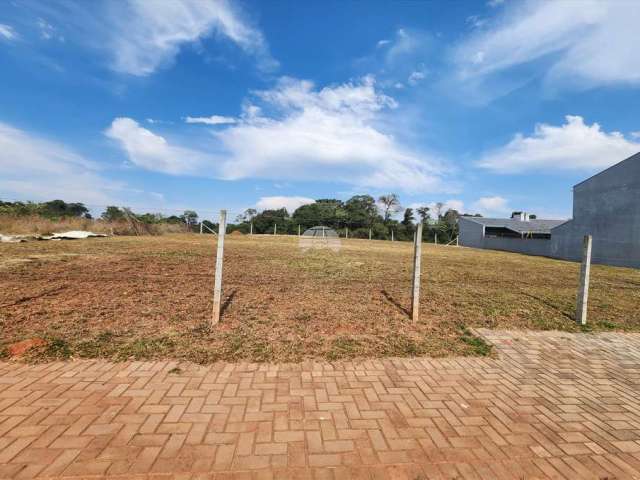 Terreno comercial para alugar na Rua Antônio Bizetto, 30, Vila Ferrari, Campo Largo, 374 m2 por R$ 1.000